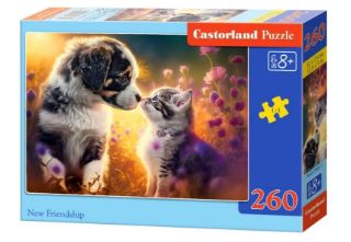 Obrázek z Puzzle pes a kočka 260 dílků 
